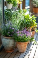 ai generato un' contenitore giardino su un' soleggiato terrazza, in mostra un' varietà di in vaso impianti e erbe aromatiche. foto