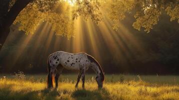 ai generato un' maculato appaloosa cavallo sfiora sotto un' baldacchino di screziata luce del sole foto