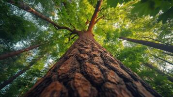 ai generato in mezzo un' foresta di torreggiante alberi, esso sta alto, un' silenzioso osservatore di della natura meraviglie foto