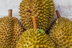 Locale indonesiano durian è delizioso e contiene vario vitamine e minerali, fornire un' delizioso gusto Esperienza. foto