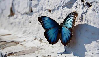 ai generato un' blu farfalla riposo su un' bianca parete foto