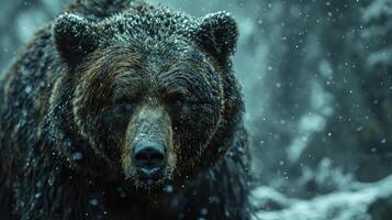 ai generato Marrone orso con buio pelliccia sta nel un' nevoso foresta nel siberiano nevoso sfondo. foto