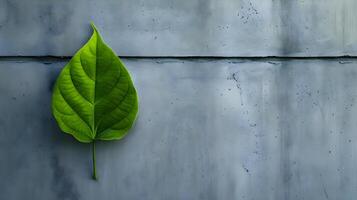 ai generato un' verde foglia su un' calcestruzzo parete foto