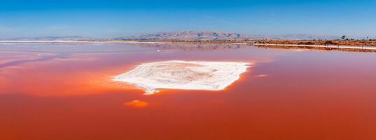 rosa sale stagni a alviso marina contea parco foto