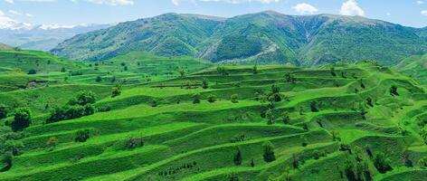 montagna paesaggio con verde agricolo terrazze su il versante foto