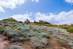 insolita formazione rocciosa vicino al mare a capo testa sardegna foto