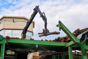 idraulico manipolatore controlli il posizione di il logs su il alimentazione trasportatore nel un' moderno segheria foto