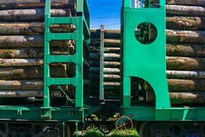 caricato ferrovia carri per trasporto di logs avvicinamento foto