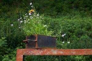 piccolo ferro scatola con fiori selvatici sta su un' arrugginito ferro struttura foto