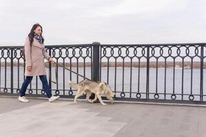 giovane donna con un' rauco cane passeggiate lungo il argine nel un autunno giorno foto