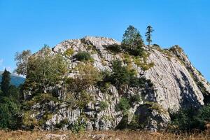 distaccato enorme calcare scogliera coperto di vegetazione con alberi foto