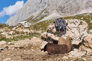 del sellaio temporaneo posto di lavoro all'aperto nel il montagne mentre pascolo bestiame nel highlang pascoli nel il Caucaso, Russia foto