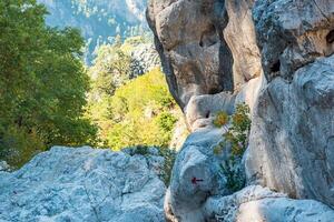 freccia su un' pietra nel un' montagna canyon indica il direzione di il escursioni a piedi pista foto