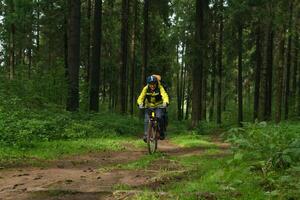 bikepacker nel il autunno foresta foto