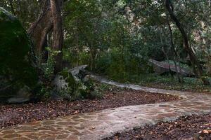 strada pavimentata con naturale pietra tra rocce nel un antico mare paesaggio giardino foto