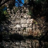 parete di antico rovine nel il giungla di il lago foto