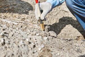 del paleontologo mano con spazzola detergente fossile osso a partire dal sabbia foto