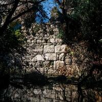 parete di antico rovine nel il giungla di il lago foto