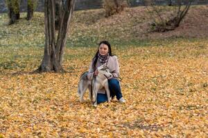 giovane donna con sua cane tra il autunno fogliame foto