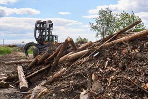 mucchio di vecchio logs pronto per in lavorazione e afferrare slittatore su il sfondo nel un' la lavorazione del legno fabbrica foto