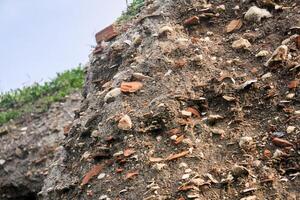 occupazione terra - strati di terra con frammenti di antico ceramica e conchiglie sotto il zolla erbosa strato foto