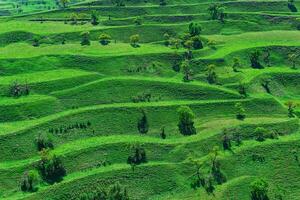 montagna paesaggio con verde terrazzato fieno i campi su il versante foto