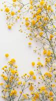 ai generato gypsophila splendore giallo fioriture a partire dal sopra foto