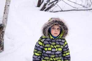 poco ragazzo a piedi nel inverno nevoso parco foto