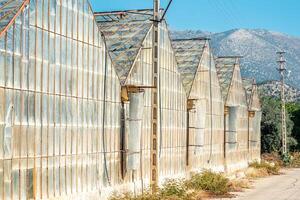 azienda agricola serre con montagne nel il sfondo foto