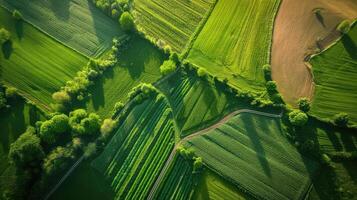 ai generato aereo Visualizza di un' rurale paesaggio con verde i campi e impianti e agricolo azienda agricola terra di naturale sfondo foto