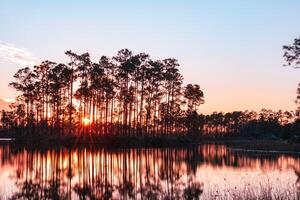 Everglades tramonto Florida foto