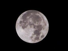 il blu Luna nel il notte cielo. superluna, pieno Luna. foto