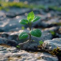 ai generato nature resilienza verde pianta pause attraverso pietre, simboleggiante crescita per sociale media inviare dimensione foto