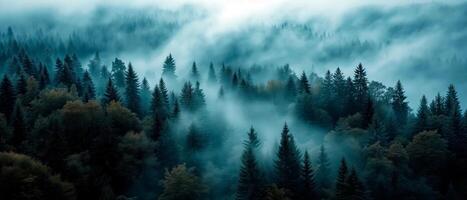 ai generato paesaggio foto di abete nebbioso foresta con nebbia. naturale estetico Visualizza per ambiente coscienza.