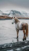 ai generato cavallo sta contro mozzafiato islandese sfondo, la creazione di sbalorditivo paesaggio verticale mobile sfondo foto