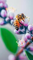 ai generato impollinazione momento miele ape si accende delicatamente su colorato fiore verticale mobile sfondo foto