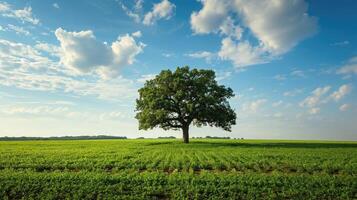 ai generato solitario verde quercia albero nel il campo foto