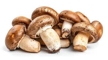 ai generato Grasso funghi su isolato bianca sfondo. foto