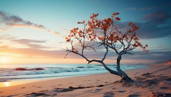 ai generato tramonto al di sopra di il tranquillo spiaggia, natura bellezza generato di ai foto