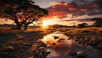 ai generato tramonto al di sopra di tranquillo acqua, natura bellezza riflessa generato di ai foto