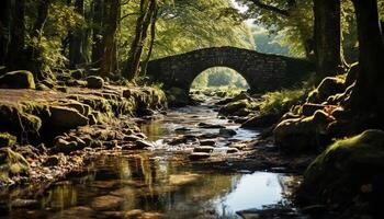 ai generato tranquillo scena di un antico ponte al di sopra di fluente acqua generato di ai foto