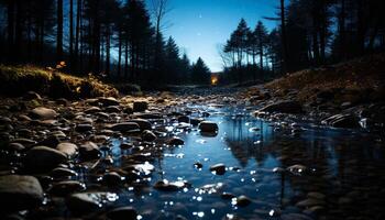 ai generato tranquillo scena di un' buio foresta a notte generato di ai foto