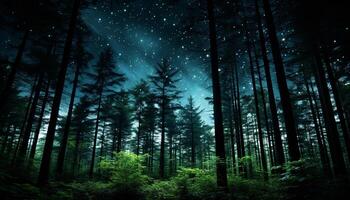 ai generato misterioso notte, illuminato di stelle, tranquillo foresta generato di ai foto