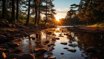 ai generato tranquillo scena di un' tramonto al di sopra di un' foresta generato di ai foto