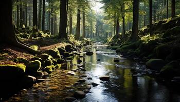 ai generato tranquillo scena di un' foresta con fluente acqua generato di ai foto