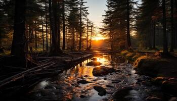 ai generato tranquillo scena di un' foresta con fluente acqua generato di ai foto