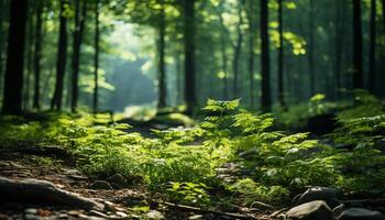 ai generato tranquillo scena di verde foresta nel estate generato di ai foto