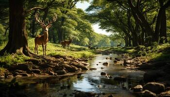 ai generato cervo in piedi nel tranquillo foresta, circondato di bellezza generato di ai foto