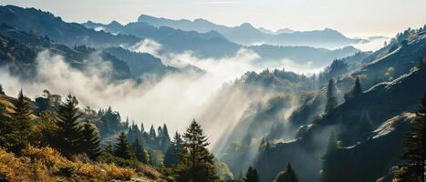 ai generato sole raggi penetrante attraverso nebbia al di sopra di un' foreste montagna foto