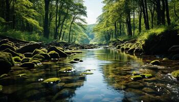 ai generato tranquillo scena di verde foresta, fluente acqua generato di ai foto